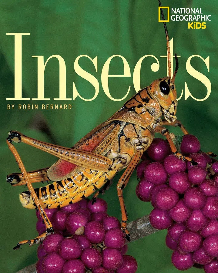 Insects-Children’s / Teenage general interest: Nature and animals-買書書 BuyBookBook