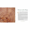 Into the Forest (Hardback) - 買書書 BuyBookBook