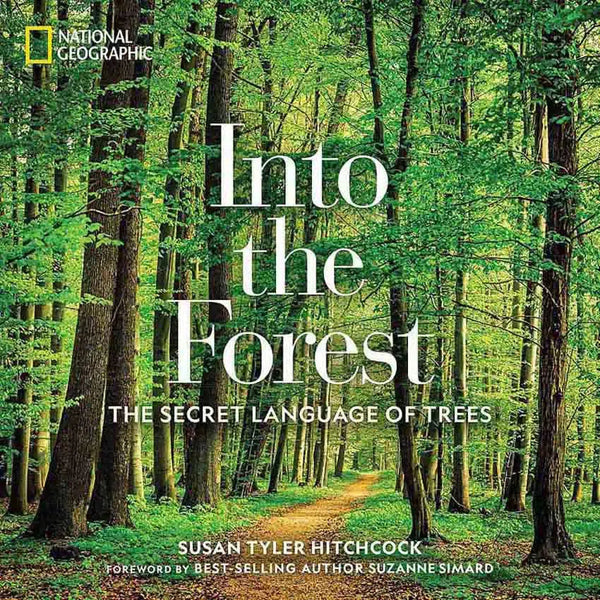 Into the Forest (Hardback) - 買書書 BuyBookBook