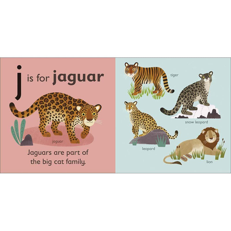 J is for Jaguar (Board book) DK UK