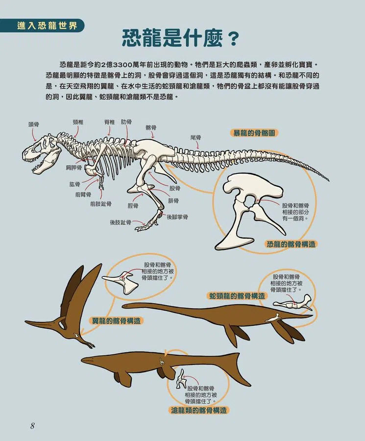 驚奇的恐龍世界