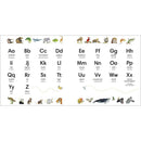 Johnny Lambert's Animal ABC (Board book) DK UK