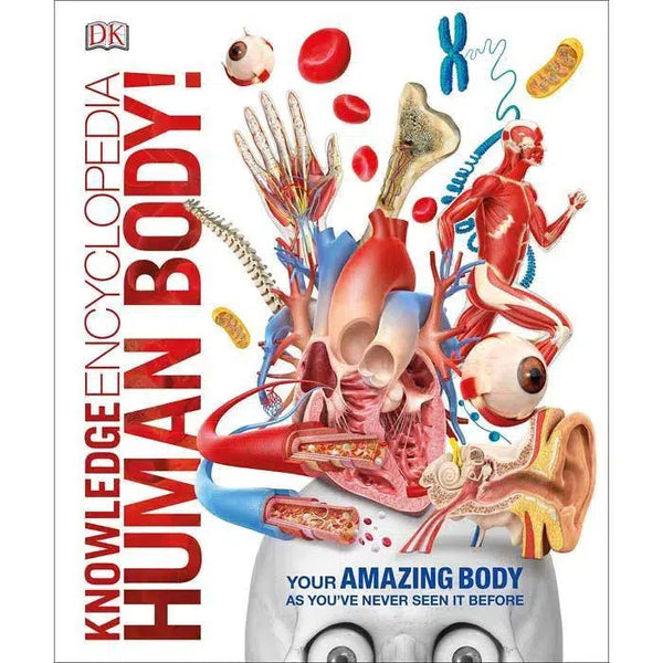 Knowledge Encyclopedia Human Body!-Children’s / Teenage reference: Encyclopaedias, general reference-買書書 BuyBookBook