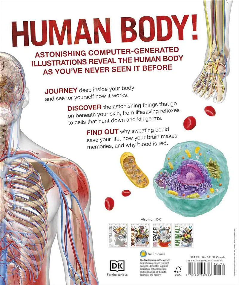 Knowledge Encyclopedia Human Body!-Children’s / Teenage reference: Encyclopaedias, general reference-買書書 BuyBookBook