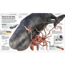 Knowledge Encyclopedia Ocean!-Children’s / Teenage reference material-買書書 BuyBookBook