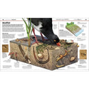 Knowledge Encyclopedia Ocean!-Children’s / Teenage reference material-買書書 BuyBookBook