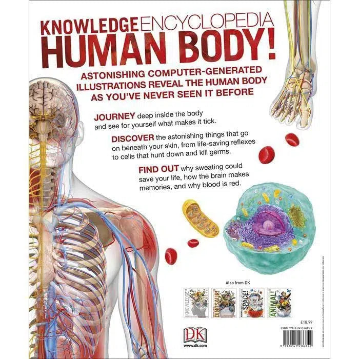 Knowledge Encyclopedia Human Body!-Children’s / Teenage reference: Encyclopaedias, general reference-買書書 BuyBookBook