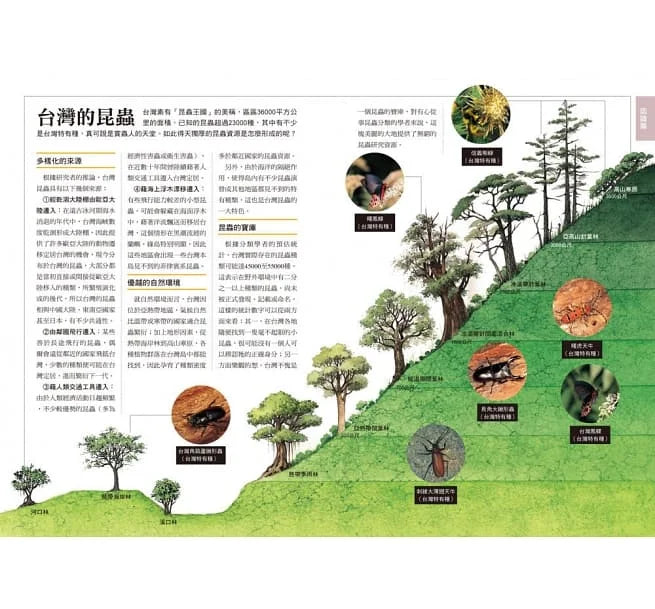 昆蟲觀察入門-非故事: 動物植物 Animal & Plant-買書書 BuyBookBook