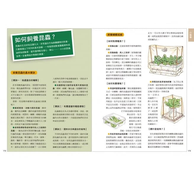 昆蟲觀察入門-非故事: 動物植物 Animal & Plant-買書書 BuyBookBook