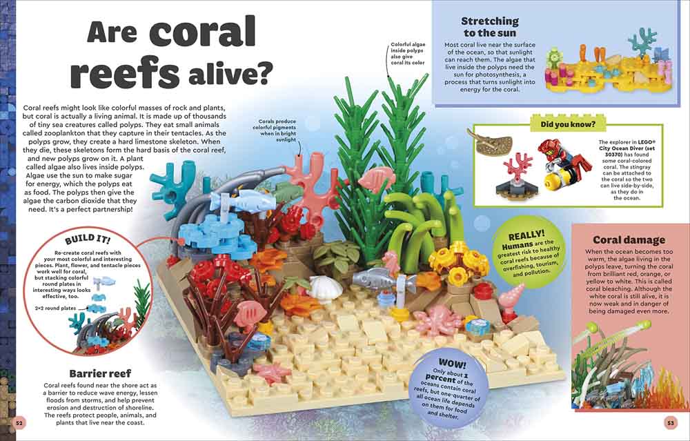 LEGO Amazing Earth-Children’s / Teenage general interest: Nature and animals-買書書 BuyBookBook