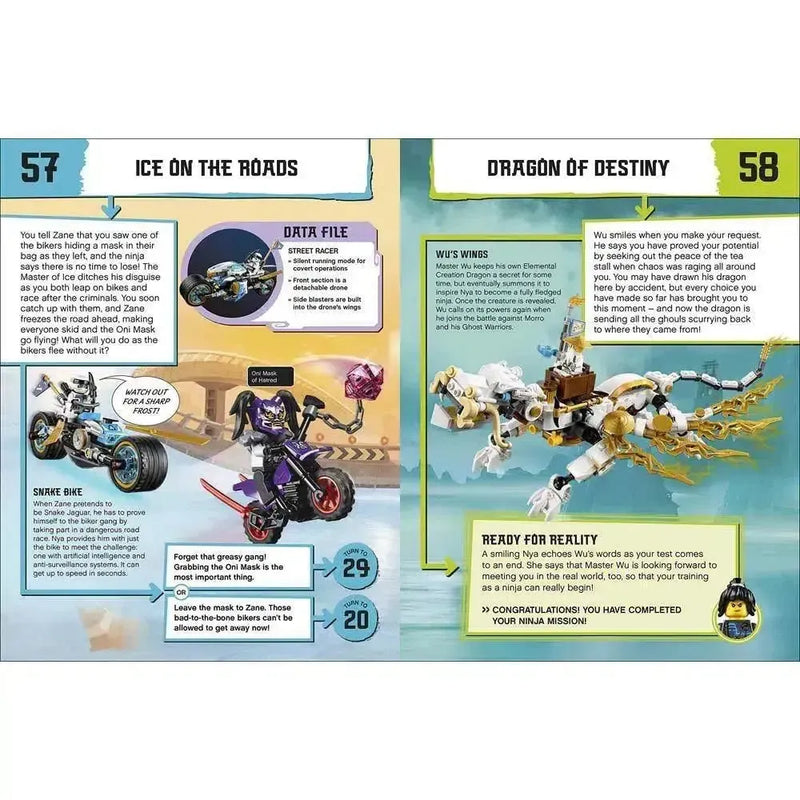 LEGO Ninjago Choose Your Ninja Mission (Hardback with Minifigure) DK UK