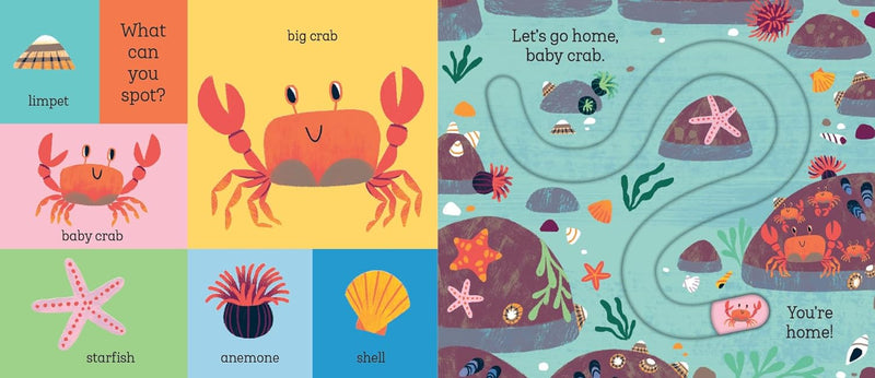 Let's Go Home, Baby Shark (Carolina Búzio)-Nonfiction: 學前基礎 Preschool Basics-買書書 BuyBookBook