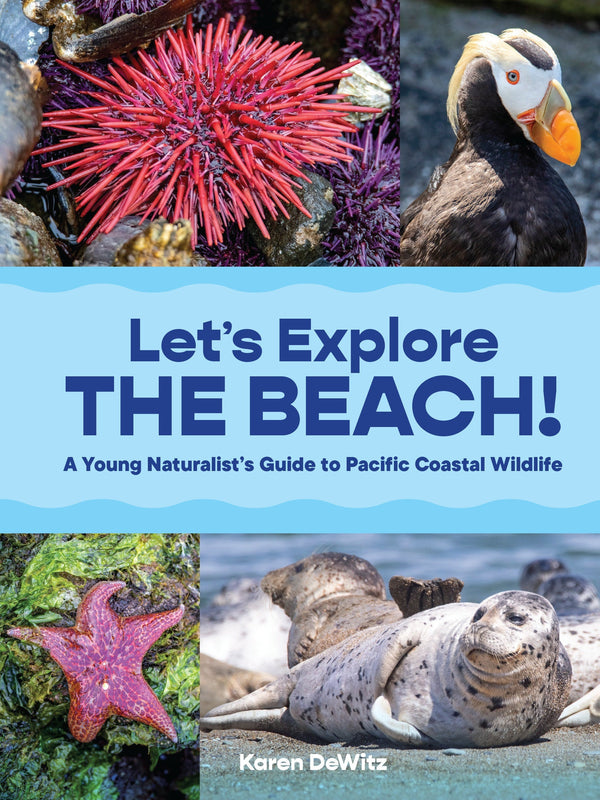 Let’s Explore the Beach!-Children’s / Teenage general interest: Wildlife and habitats: Oceans and seas-買書書 BuyBookBook