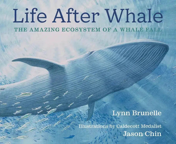 Life After Whale-Children’s / Teenage general interest: Fish and marine life-買書書 BuyBookBook