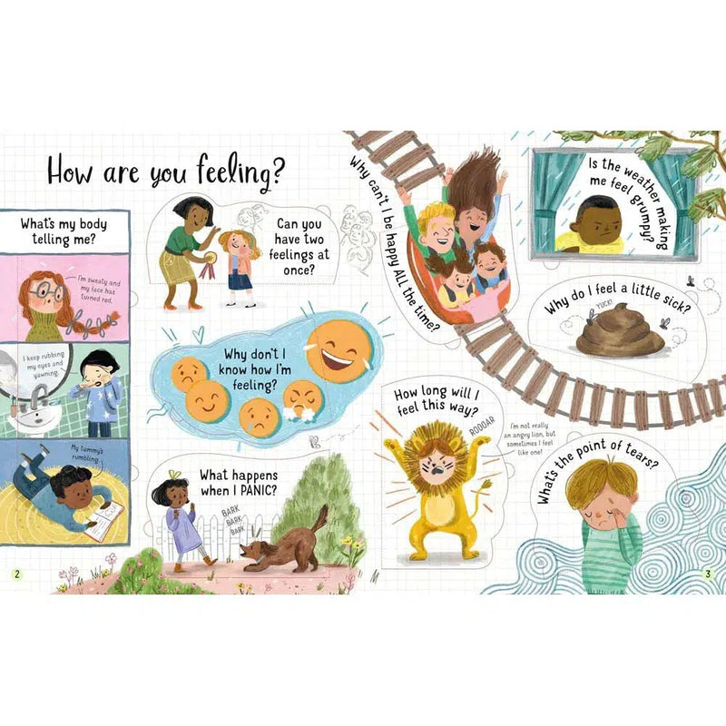 Lift-the-flap Questions and Answers about Feelings Usborne