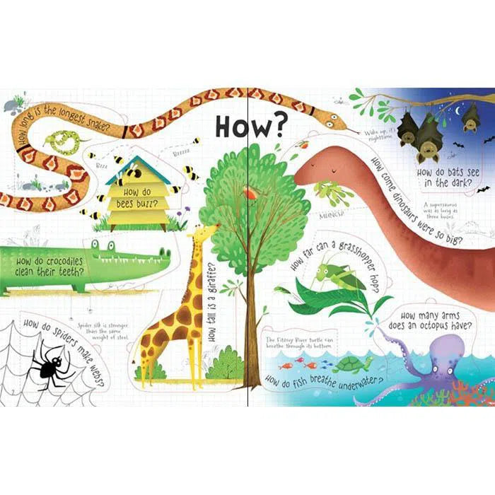 Lift-the-flap Questions and Answers About Animals Usborne