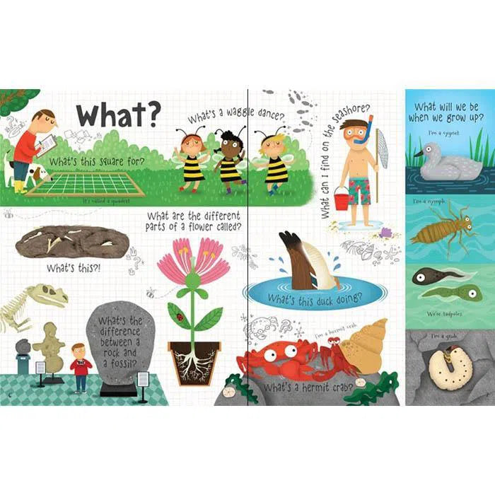 Lift-the-flap Questions and Answers About Nature Usborne