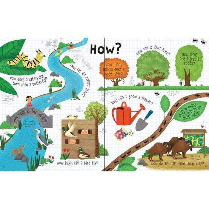 Lift-the-flap Questions and Answers About Nature Usborne