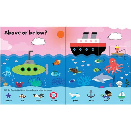 Usborne Lift-the-flap Opposites Usborne