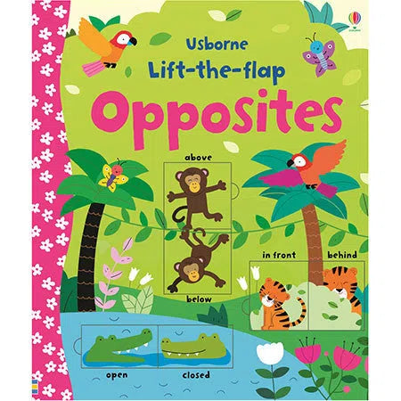 Usborne Lift-the-flap Opposites Usborne