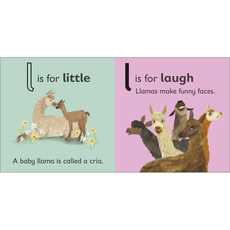 L is for Llama (Board book) DK UK