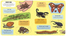 Little Explorers: Bugs-Children’s / Teenage general interest: Science and technology-買書書 BuyBookBook