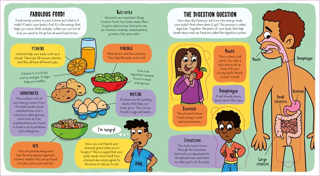 Little Explorers: Food-Children’s / Teenage general interest: Science and technology-買書書 BuyBookBook