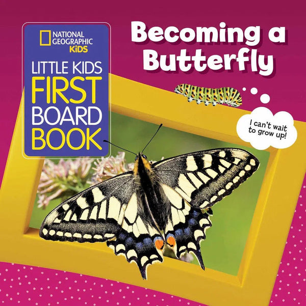 Little Kids First Board Book: Becoming a Butterfly-Children’s / Teenage general interest: Nature and animals-買書書 BuyBookBook