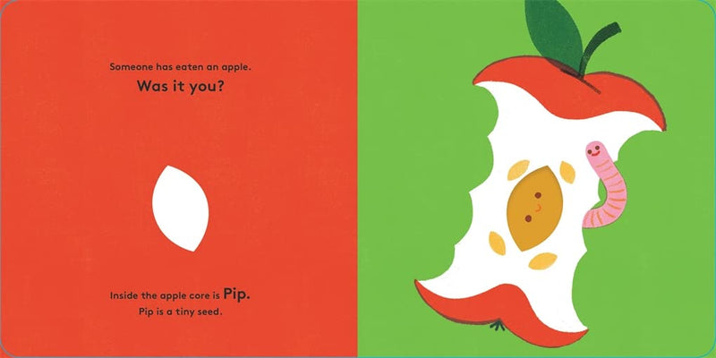 Little Life Cycles: Pip-Children’s picture books-買書書 BuyBookBook