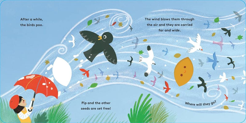 Little Life Cycles: Pip-Children’s picture books-買書書 BuyBookBook