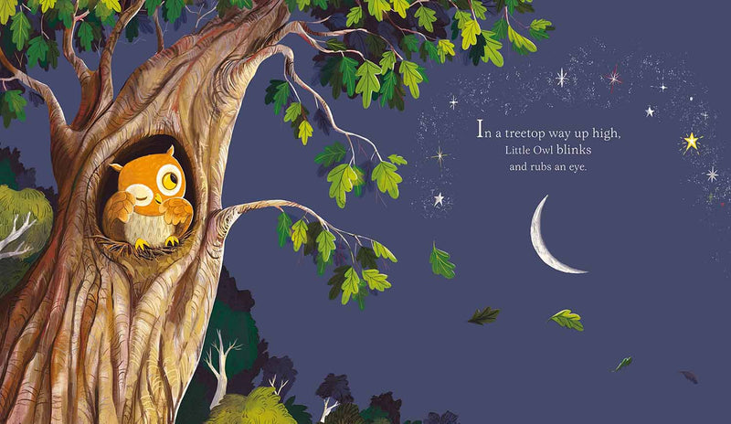 Little Owl's Bedtime-Fiction: 兒童繪本 Picture Books-買書書 BuyBookBook