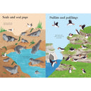 Little First Stickers Seashore Usborne