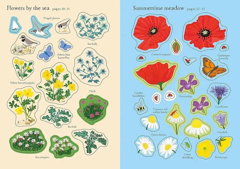 Little First Stickers Wildflowers (Caroline Young)-Activity: 繪畫貼紙 Drawing & Sticker-買書書 BuyBookBook