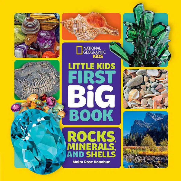 NGK Little Kids First Big Book of Rocks, Minerals & Shells - 買書書 BuyBookBook