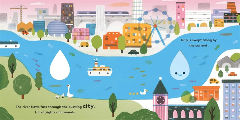 Little Life Cycles: Drip-Children’s picture books-買書書 BuyBookBook