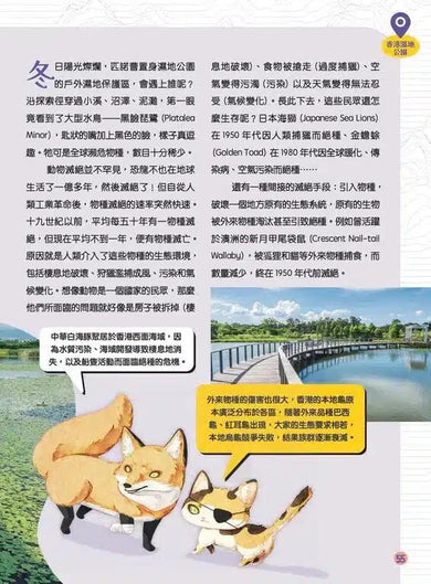 童話夢工場 - 十萬個Live in HK地理為什麼-非故事: 天文地理 Space & Geography-買書書 BuyBookBook