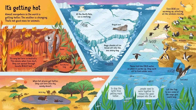 Look inside Animals in Danger Usborne