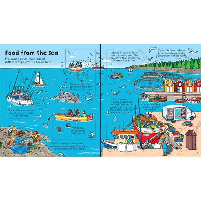 Look inside Food Usborne