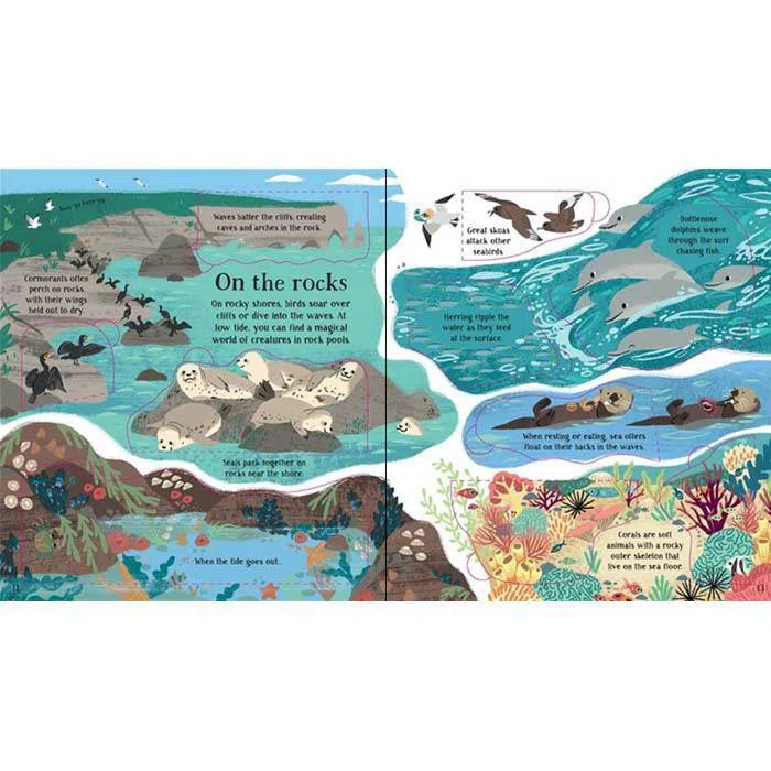 Look inside Nature Usborne