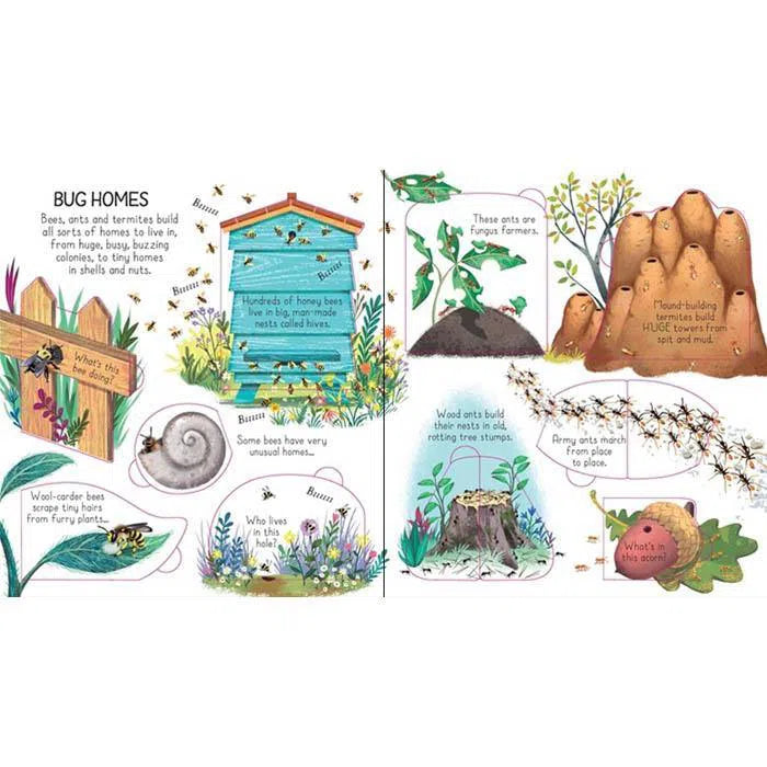 Look inside animal homes Usborne