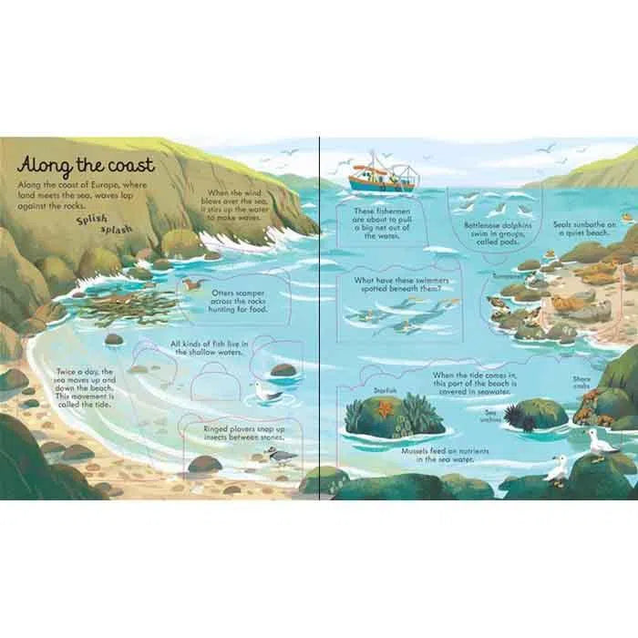 Look inside seas and oceans Usborne