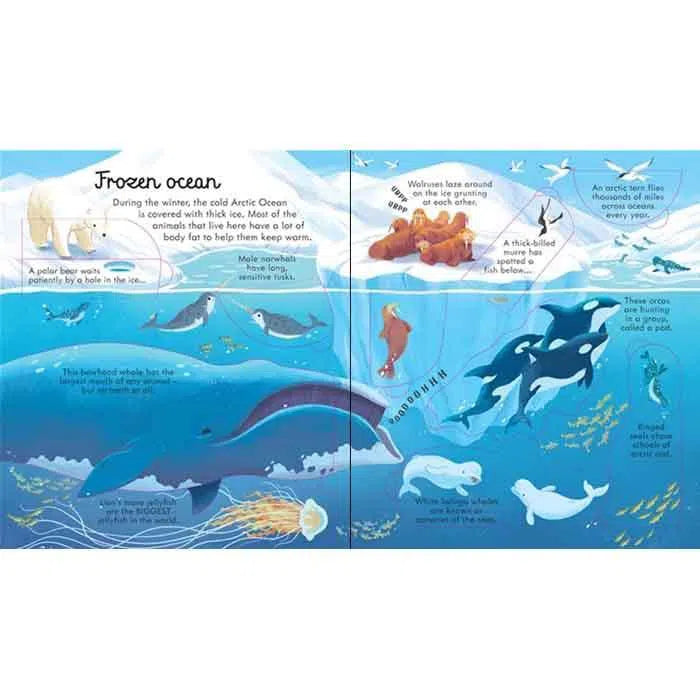 Look inside seas and oceans Usborne