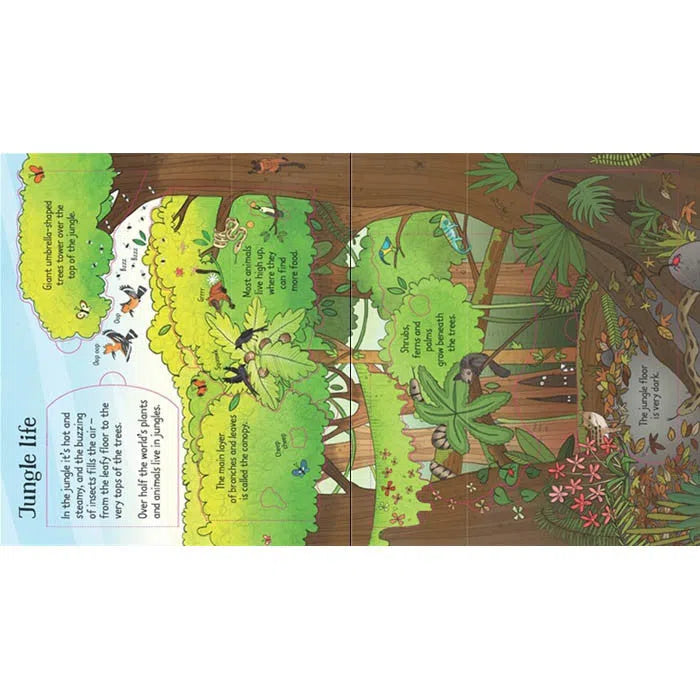 Look inside the Jungle Usborne