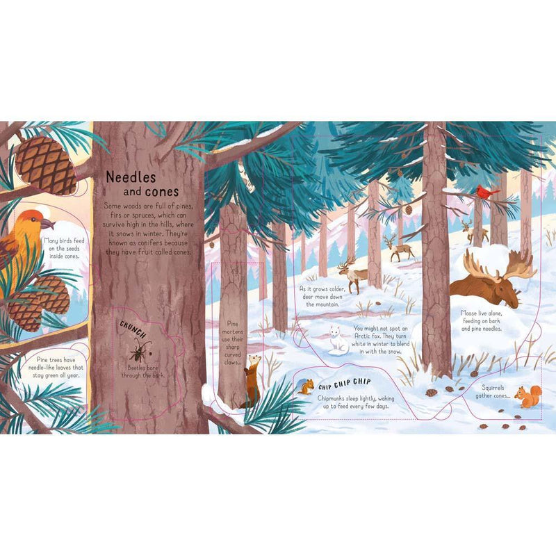 Look Inside the Woods Usborne