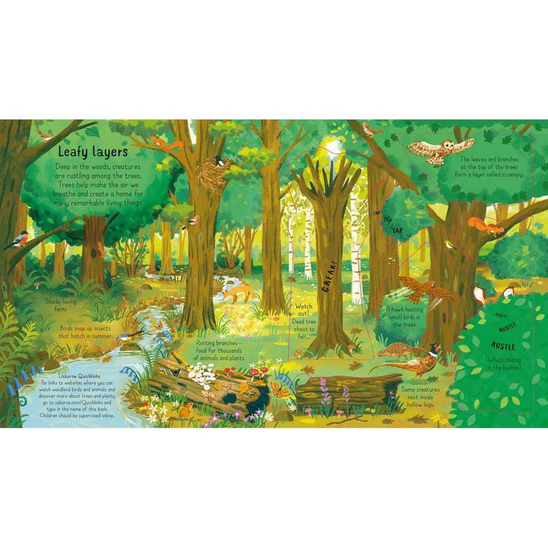 Look Inside the Woods Usborne