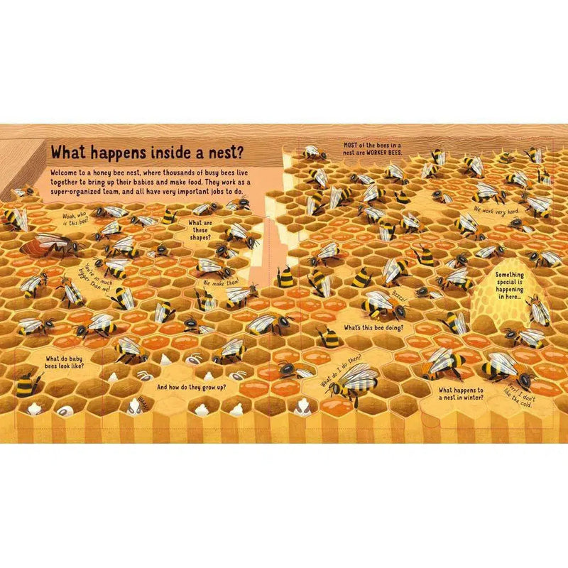 Look Inside the World of Bees Usborne