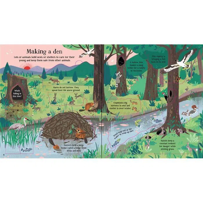 Look inside Nature Usborne