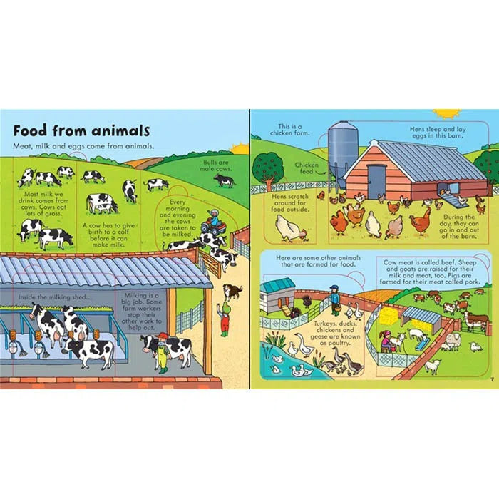 Look inside Food Usborne