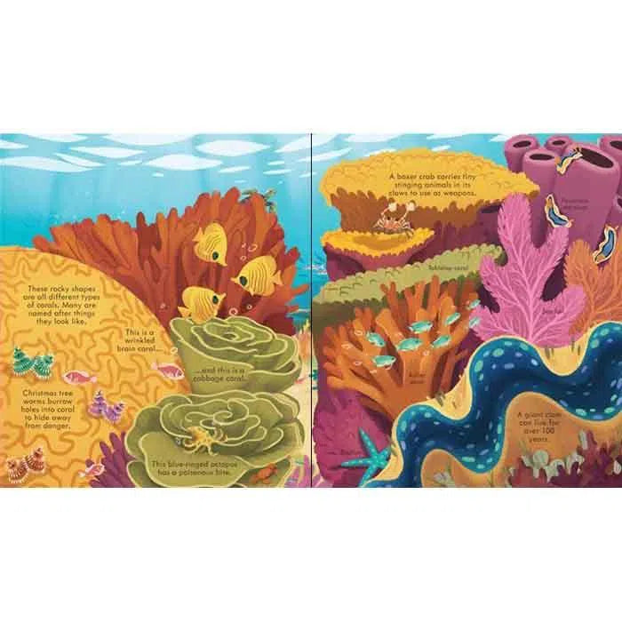 Look inside seas and oceans Usborne