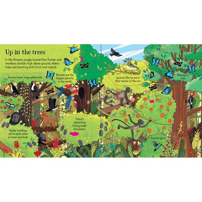 Look inside the Jungle Usborne